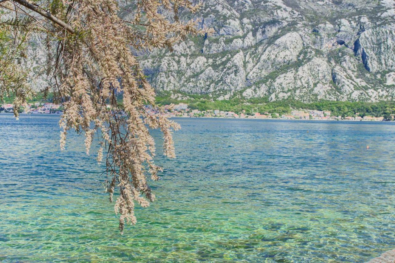 Apartments Ivanovic Kotor Exterior foto
